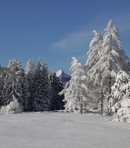 Blick auf eine Winterlandschaft am Kramerplateauweg | © GaPa Tourismus/CamillaTeichmann