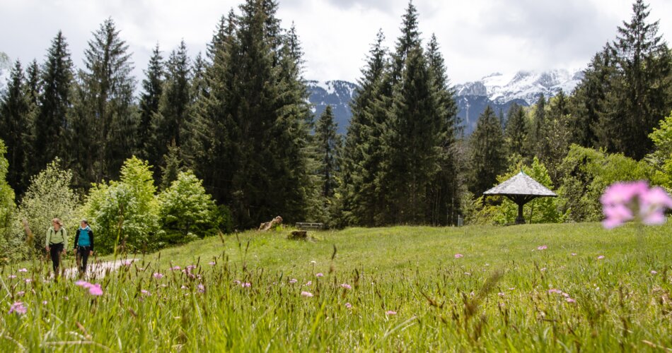 Blick auf zwei Wanderer am Kramerplateauweg mit Blumenwiese | © GaPa Tourismus GmbH/ Roadtrip the World