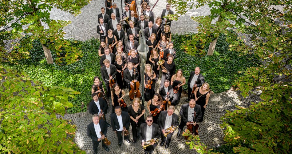 Blick auf Orchester für Klassik Sinfonie Konzerte | © Peter von Felbert