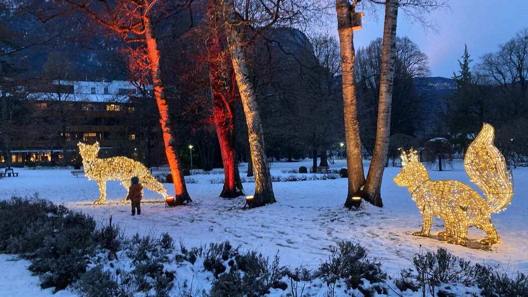 Blick auf Lichtinstallationen bei Winter im Park in Garmisch-Partenkirchen | © GaPa Tourismus GmbH/Philipp Gülland