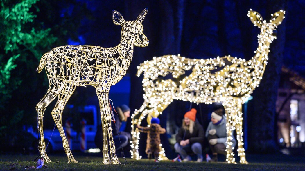 Blick auf Winter im Park Lichtinstallationen | © GaPa Tourismus GmbH/Philipp Gülland
