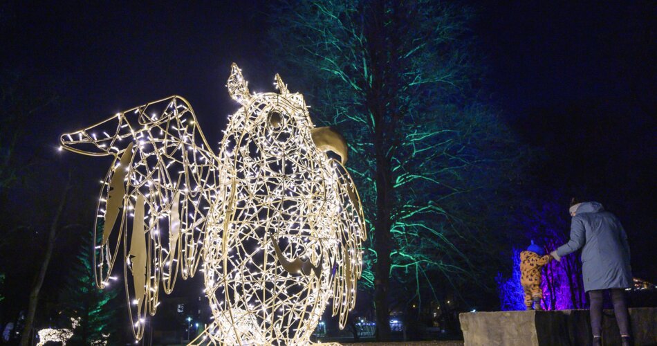 Blick auf Winter im Park Lichtinstallationen | © GaPa Tourismus GmbH/Philipp Gülland