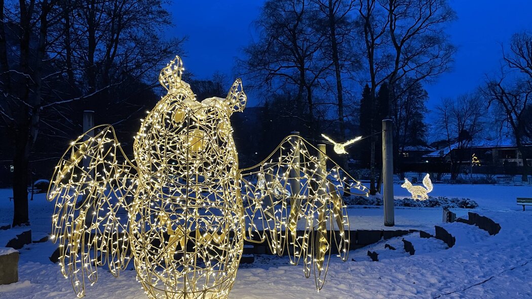 Blick auf Winter im Park Lichtinstallationen | © GaPa Tourismus GmbH/Philipp Gülland