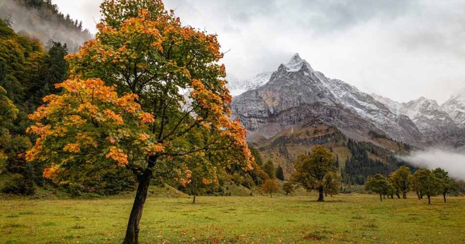 Großer Ahornboden in der Alpenwelt Karwendel | © Unsplash/mario-dobelmann