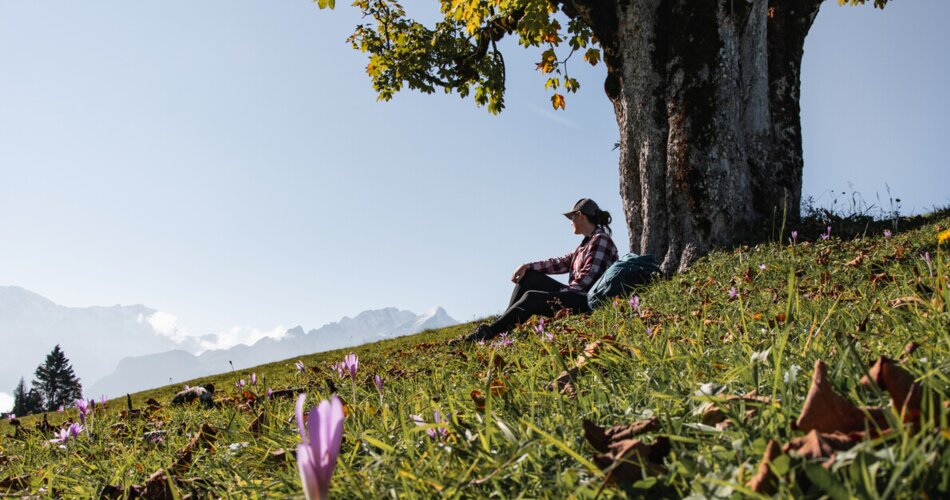 Ausblick und Entspannen am Eckbauer | © GaPa Tourismus GmbH/Roadtrip the World