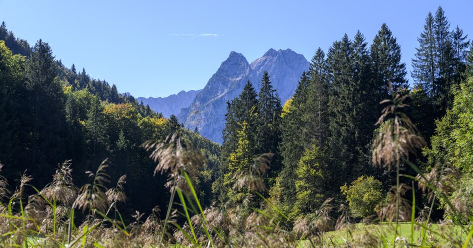 Bergblick am Riessersee | © Gregor Lengler