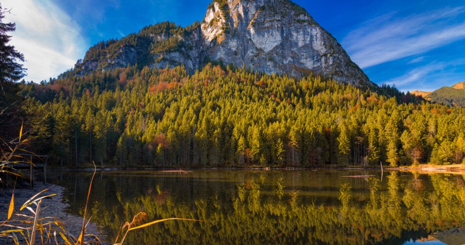 Naturschwimmbad Pflegersee | © © Marc_Hohenleitner